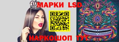 хмурый Малгобек