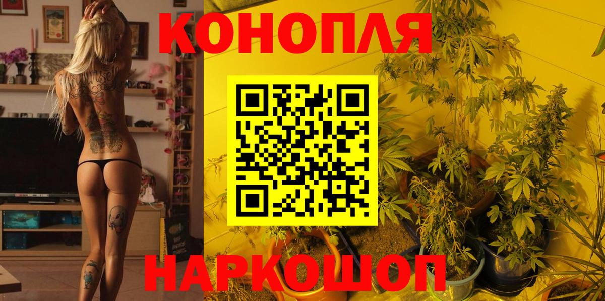 Конопля план Узловая
